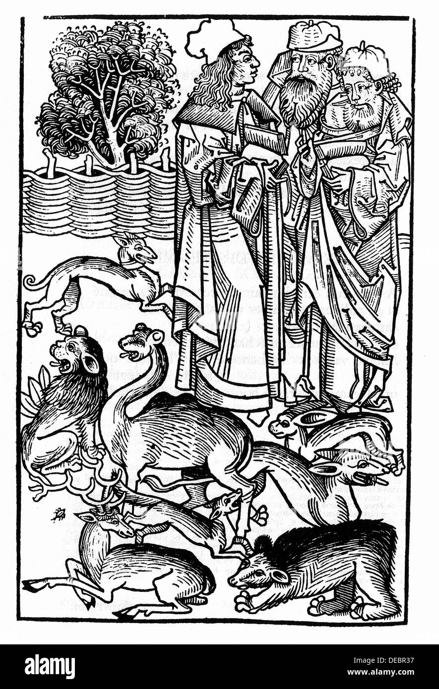 God, three Persons of Trinity, creating the plants and the animals. ´Hortus sanitatis. ´ Mayence, 1491. Stock Photo