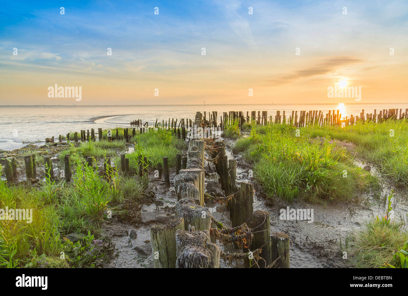 Border for land reclamation in the Wadden, Wremer Tief, Wremen, Lower Saxony, Germany Stock Photo
