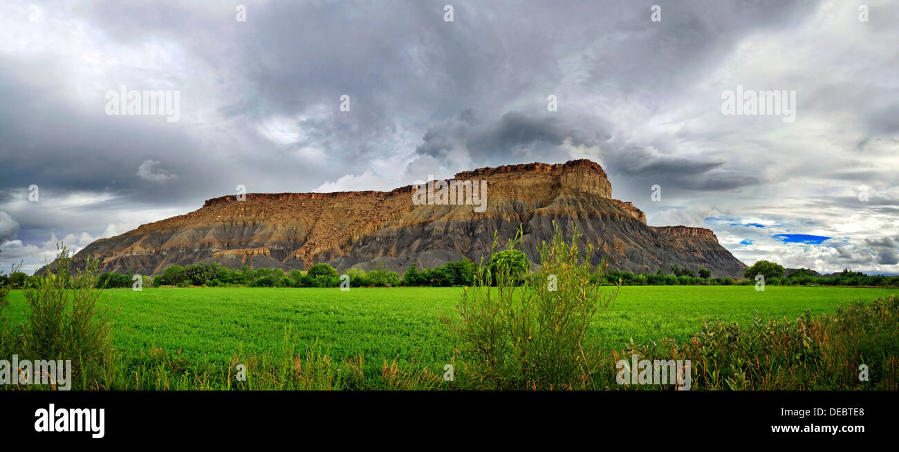 Green fertile valley with the South Caineville Mesa after a thunderstorm, Caineville, Utah, United States Stock Photo