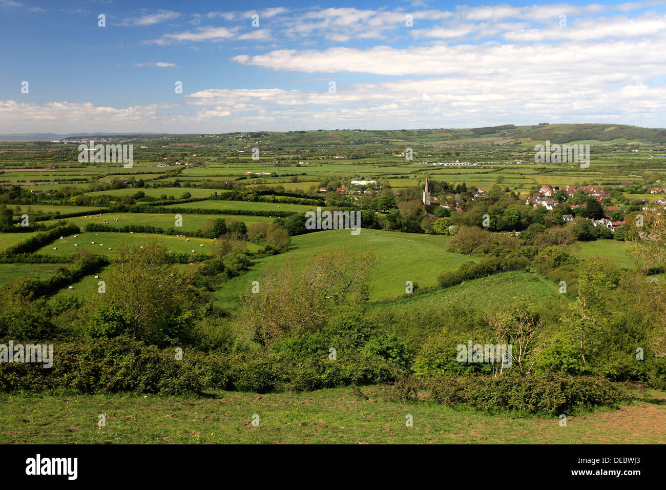 The village of East Brent, Somerset Levels, Somerset County, England