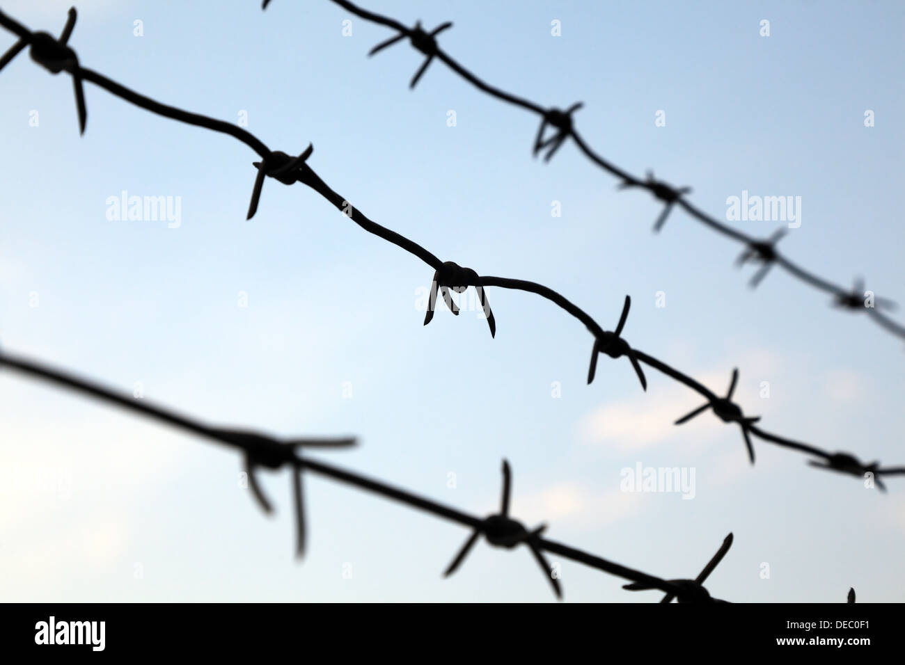 Barbed wire against a blue sky, selective focus Stock Photo