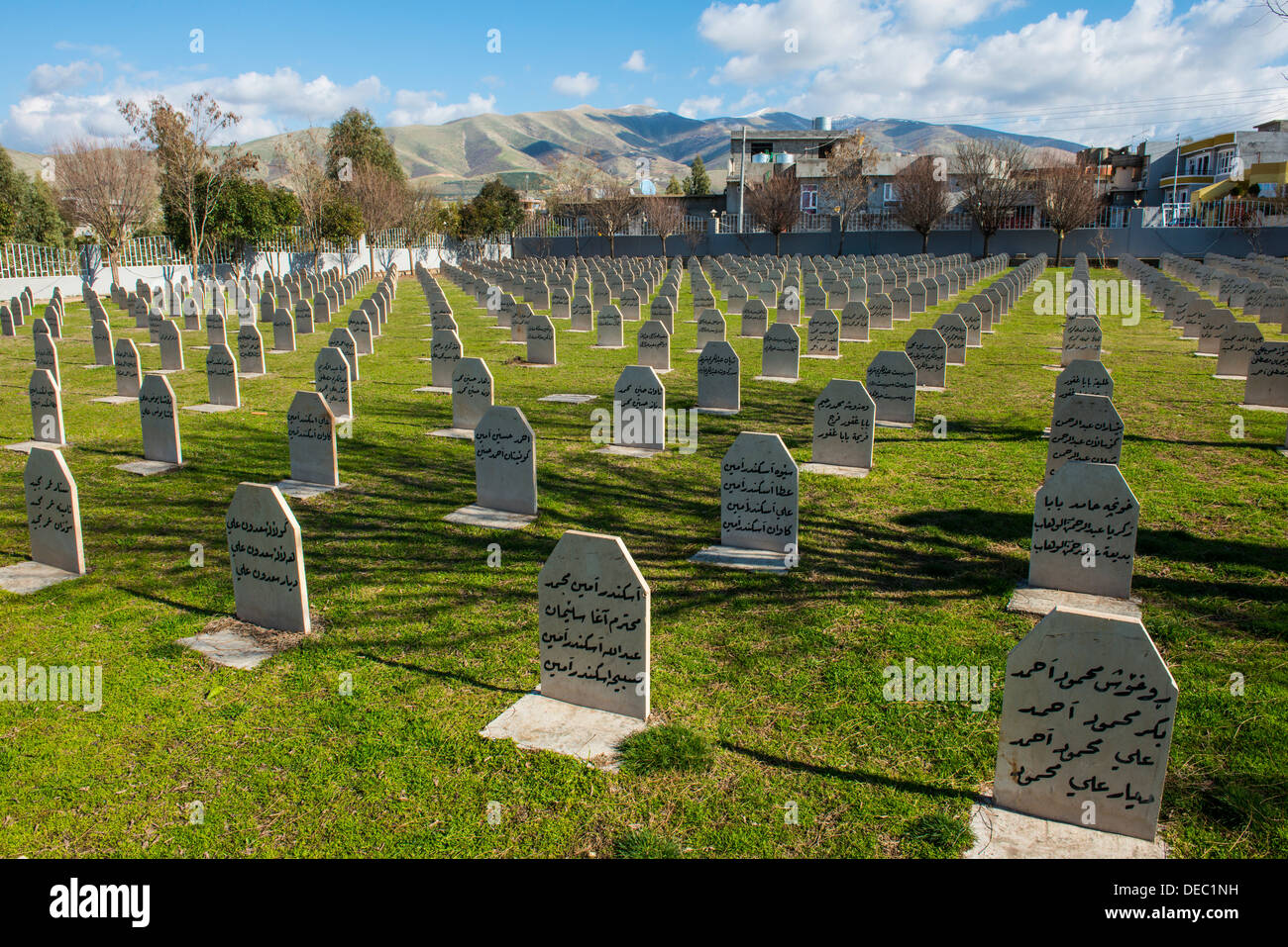 Graves on Halabja cemetery, Halabja, Iraqi Kurdistan, Iraq Stock Photo