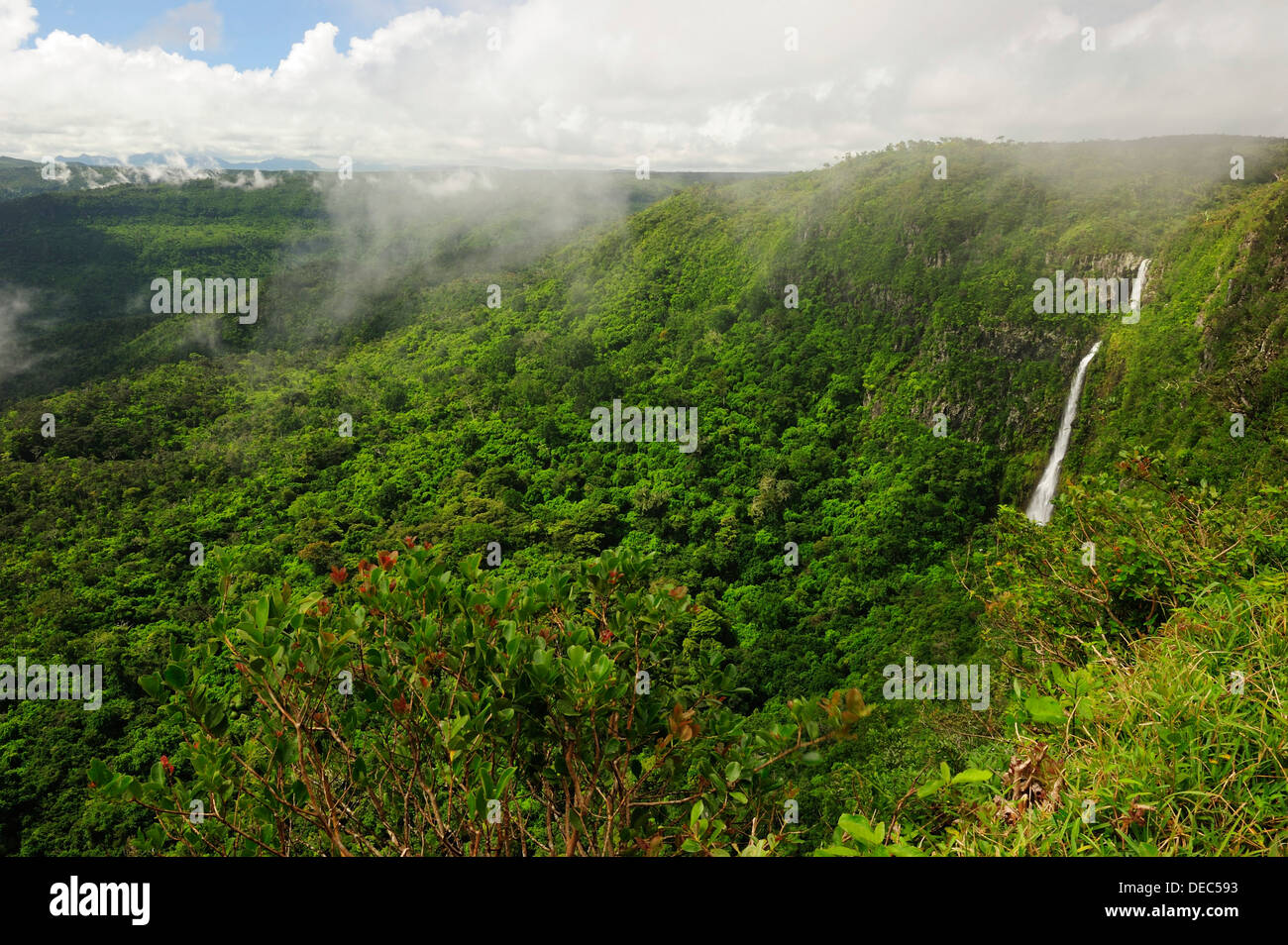 Jungle landscapes hi-res stock photography and images - Alamy