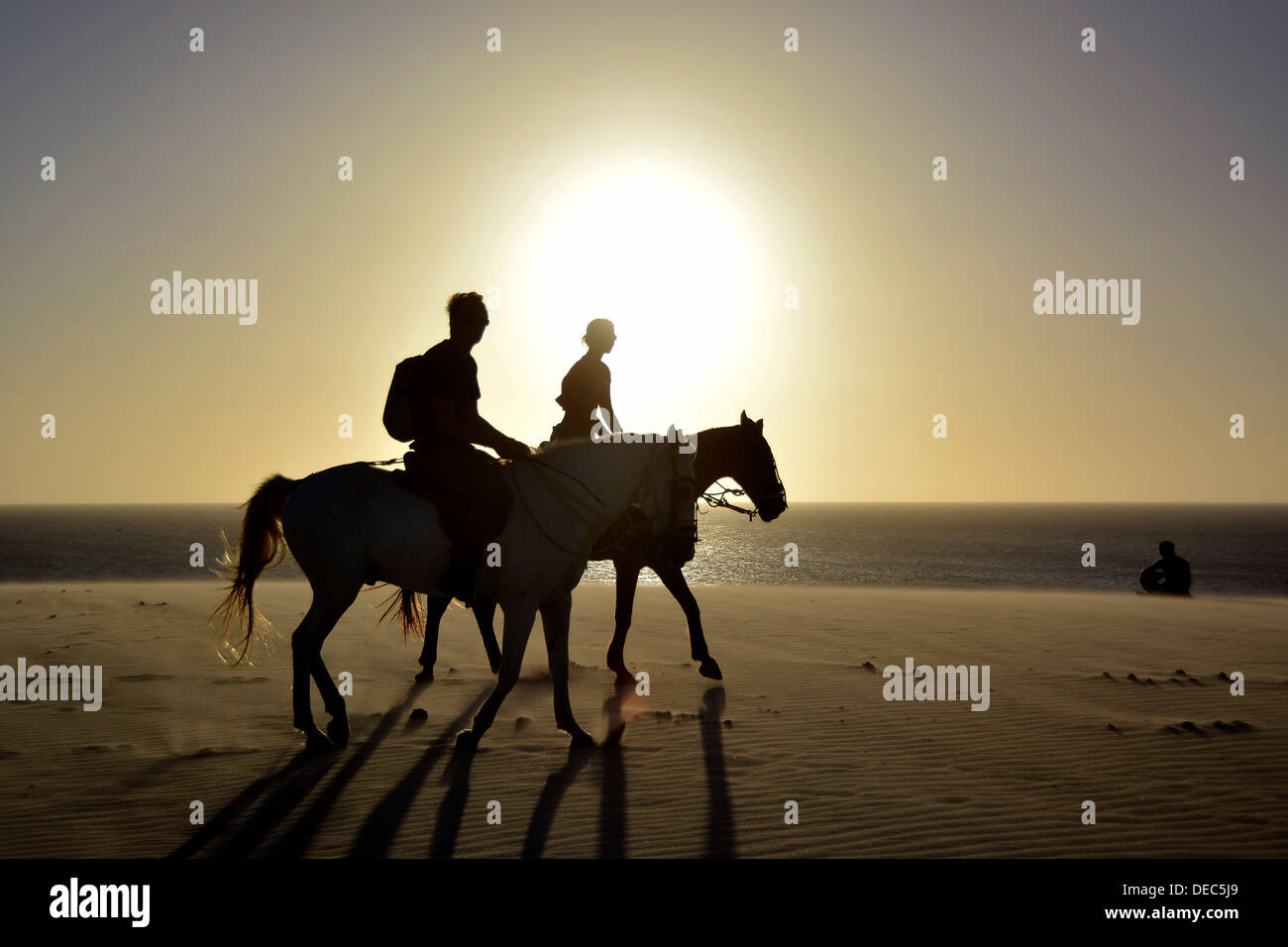 Two riders on horseback on the beach, silhouette at sunset, Jericoacoara, Ceará, Brazil Stock Photo