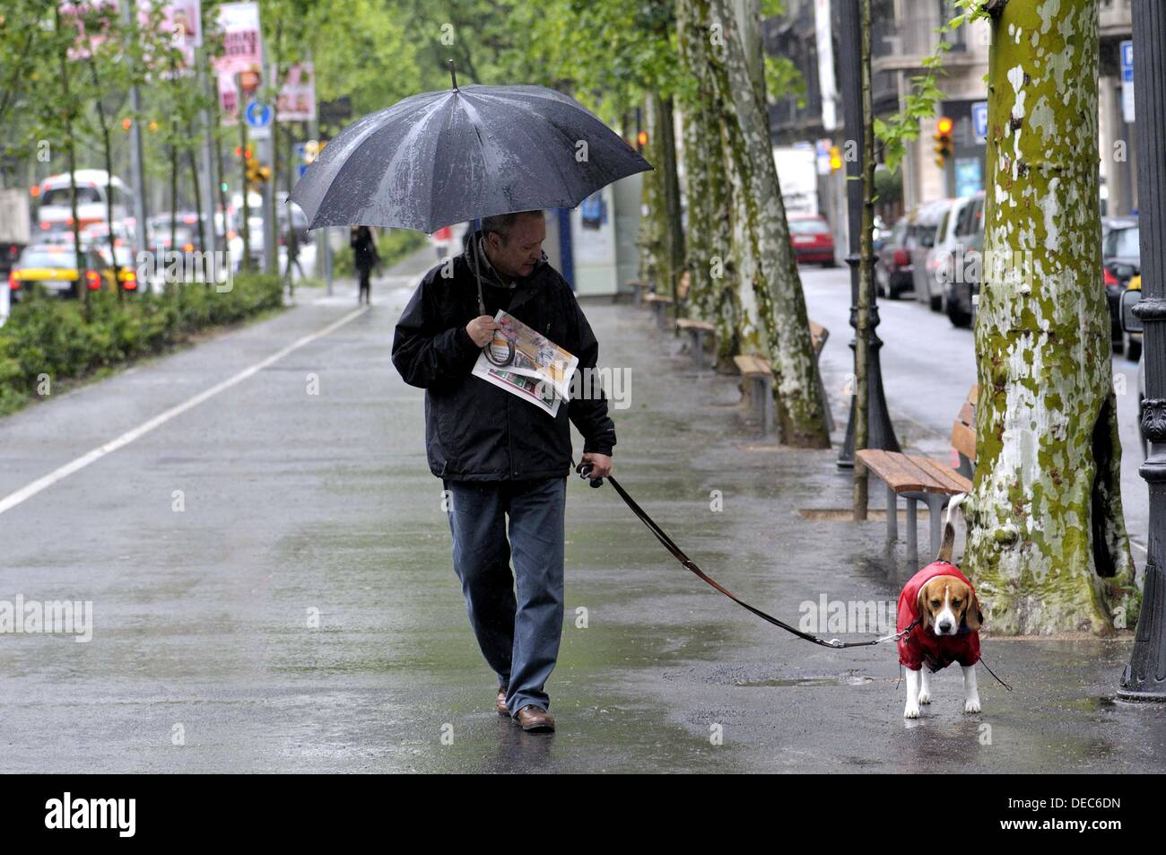 Man with umbrella and dog hi-res stock photography and images - Alamy
