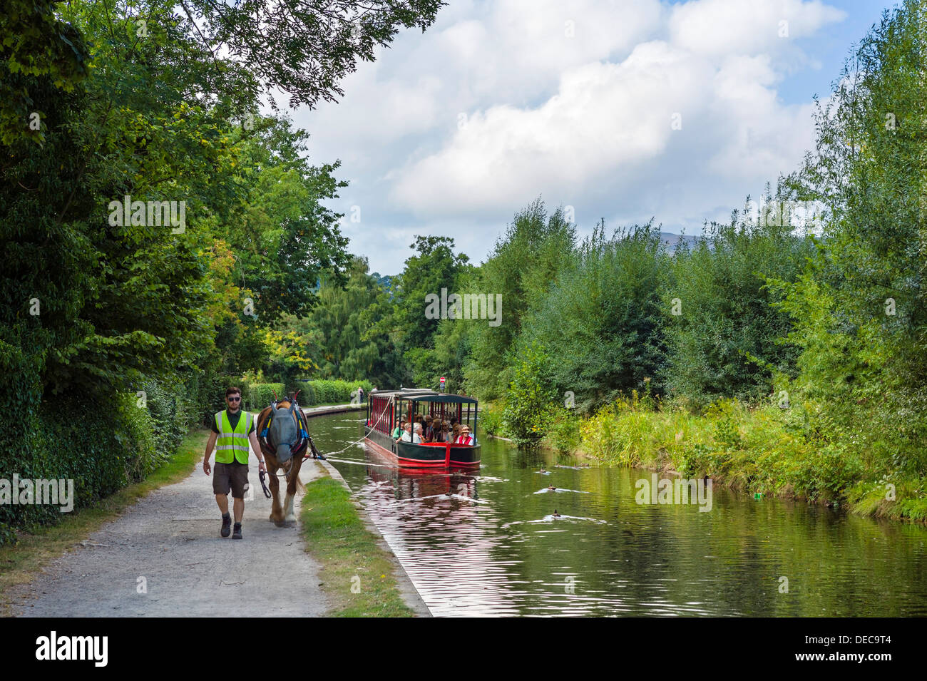Horse drawn boat trip on the Llangollen Canal, Llangollen, Denbighshire, Wales, UK Stock Photo