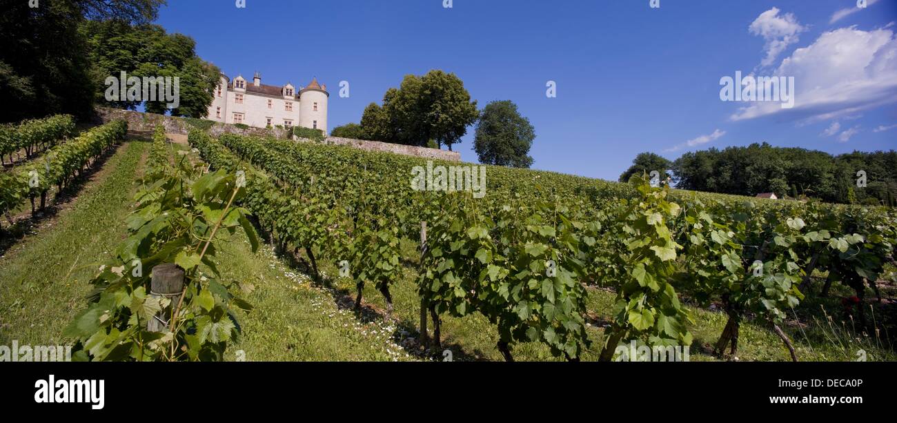Chateau de Lagrezette  Caillac, Cahors, France Stock Photo