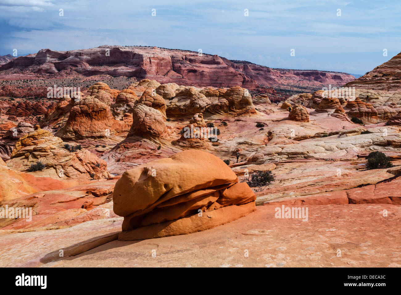 'Burger King', an interesting rock formation that resembles a giant burger located at Coyote Buttes North Stock Photo