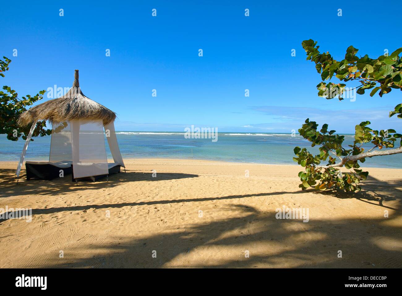 Beach, Las Terrenas, Samana Peninsula, Dominican Republic, West Indies