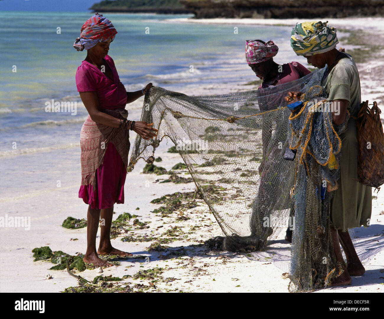 Women fishing, Jambiani beach. Zanzibar Island. Tanzania Stock