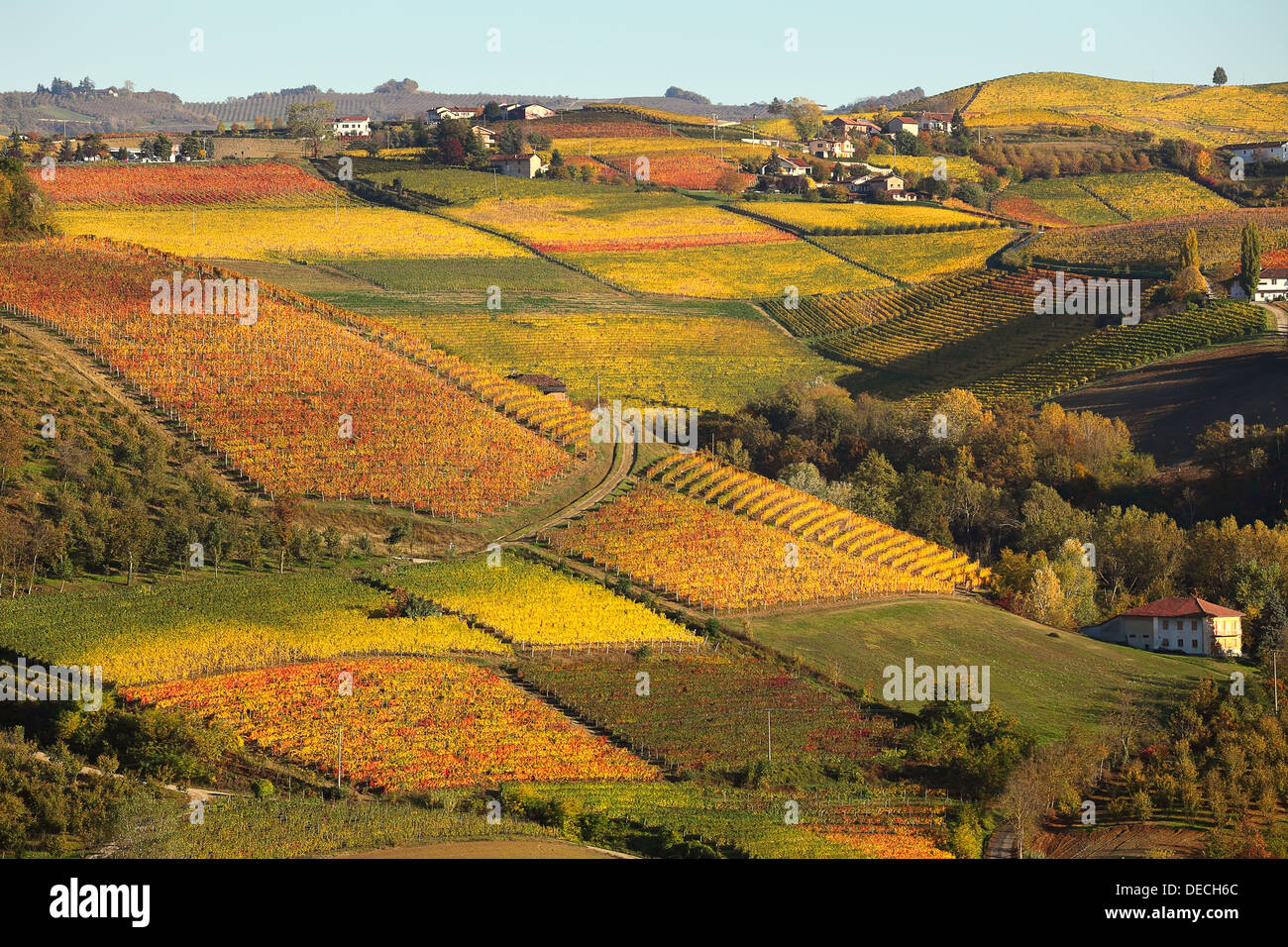 View of colorful autumnal vineyards on the hills of Langhe in Piedmont, Northern Italy. Stock Photo