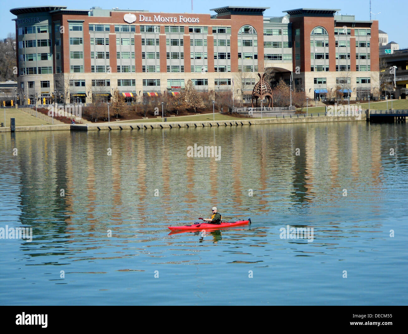Canoer on the Allegheny River in Pittsburgh near the confluence with the Monongahela River at the Forks of the Ohio (Point State Point). Del Monte Office Building in the background Stock Photo