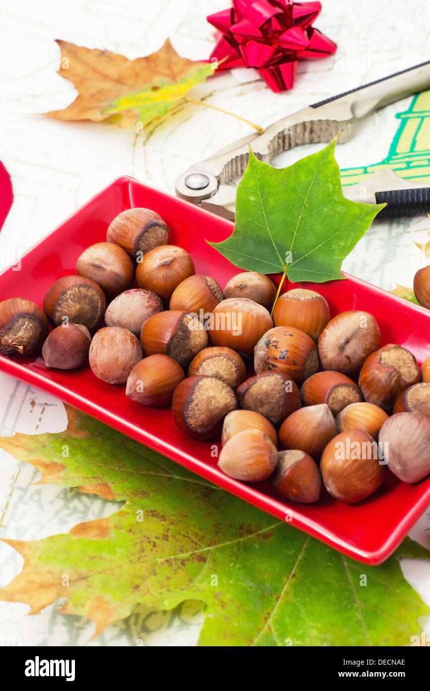 fruits of hazelnut Stock Photo Alamy