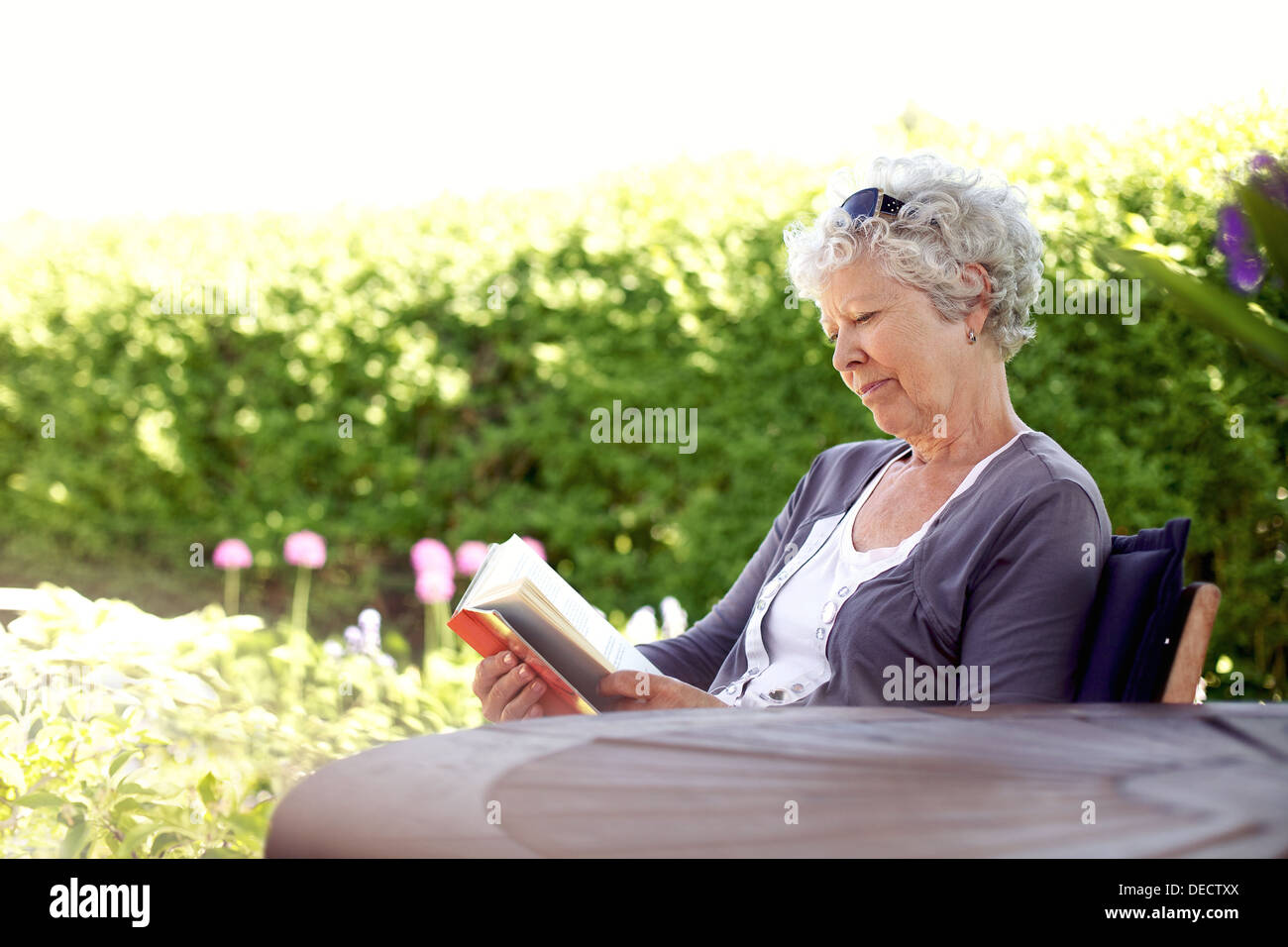 Senior woman reading a book sitting outside on a chair at the garden. Elder woman reading novel at her backward garden Stock Photo