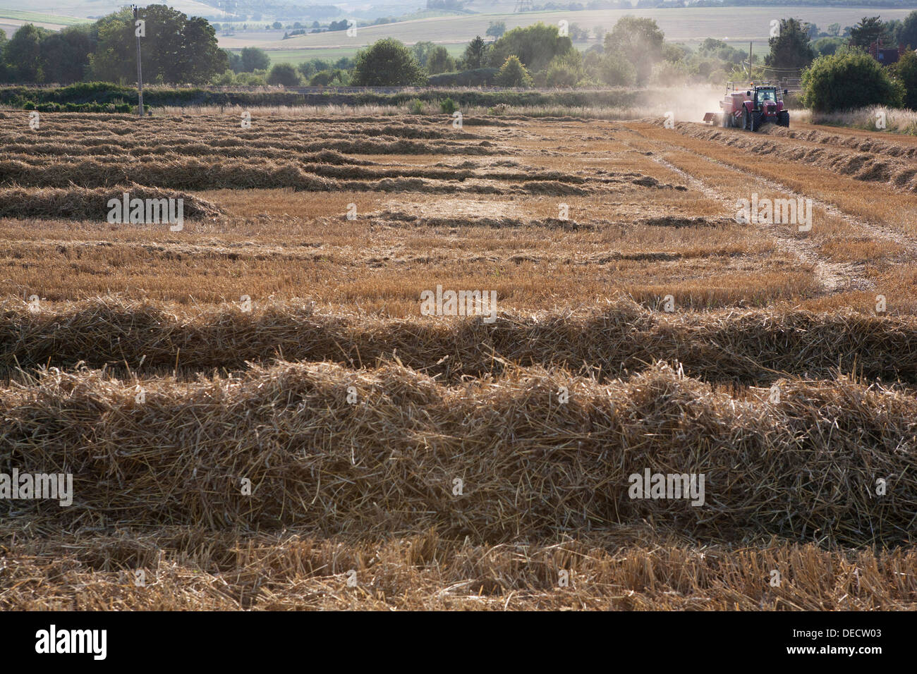 A red Massey Ferguson tractor and baler baling straw in open countryside. Stock Photo