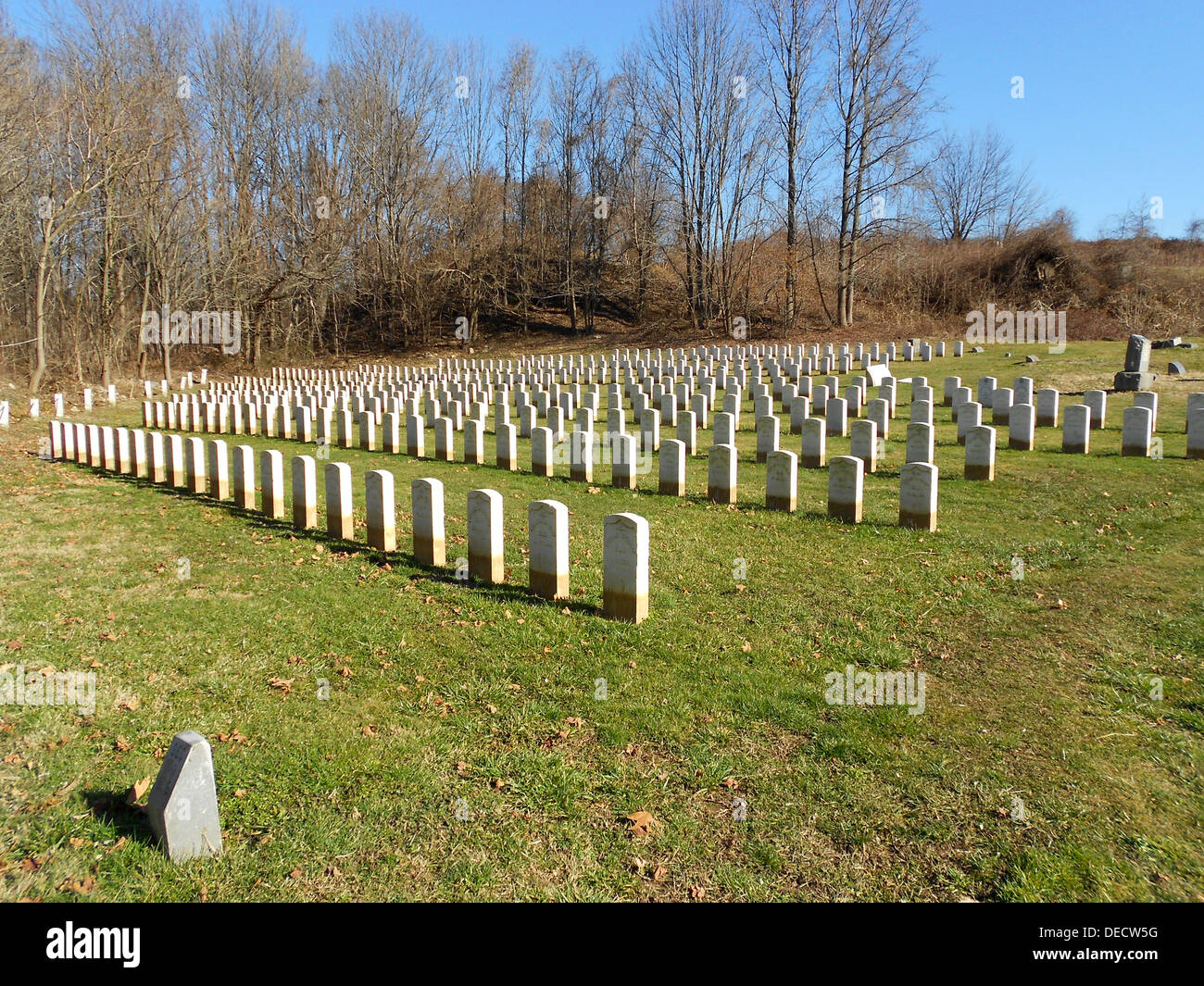 Mount Moriah Cemetery in Philadelphia Stock Photo Alamy