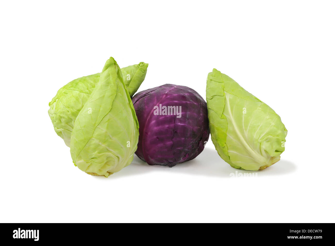 Purple and green cabbages conical shape isolated on a white background Stock Photo
