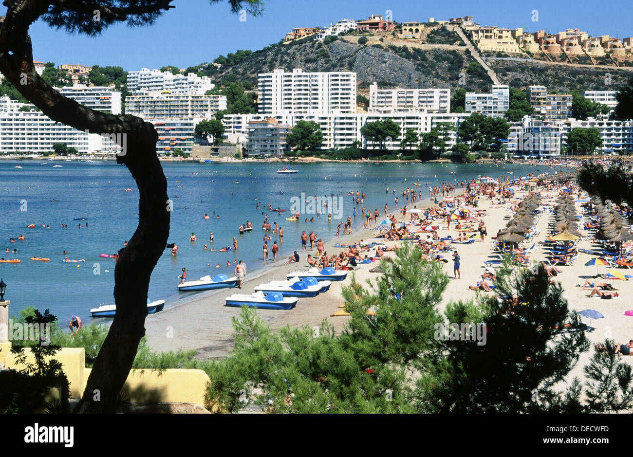 Santa Ponsa beach. Majorca, Balearic Islands. Spain Stock Photo Alamy