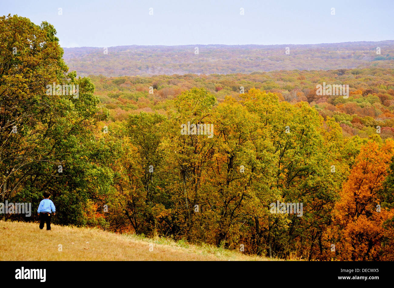 brown-county-state-park-stock-photo-alamy