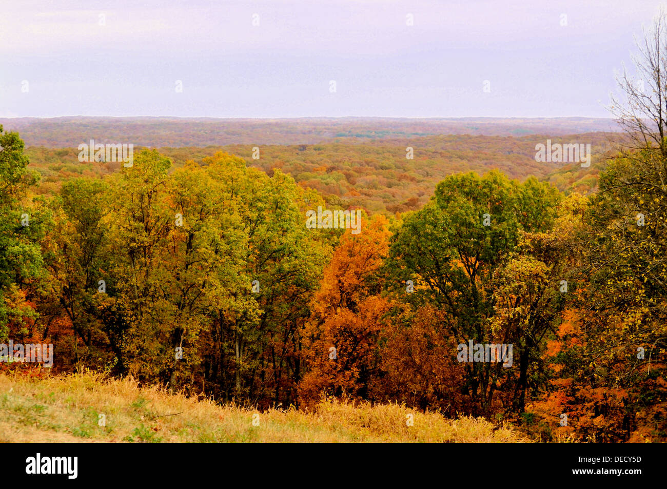 Brown County State Park Stock Photo - Alamy