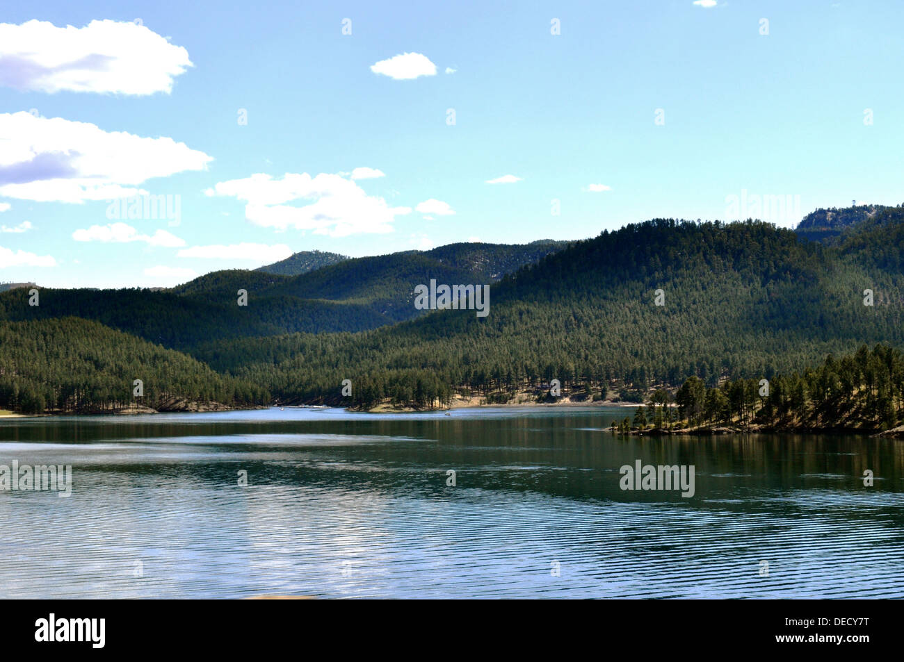 Black Hills lake Stock Photo Alamy