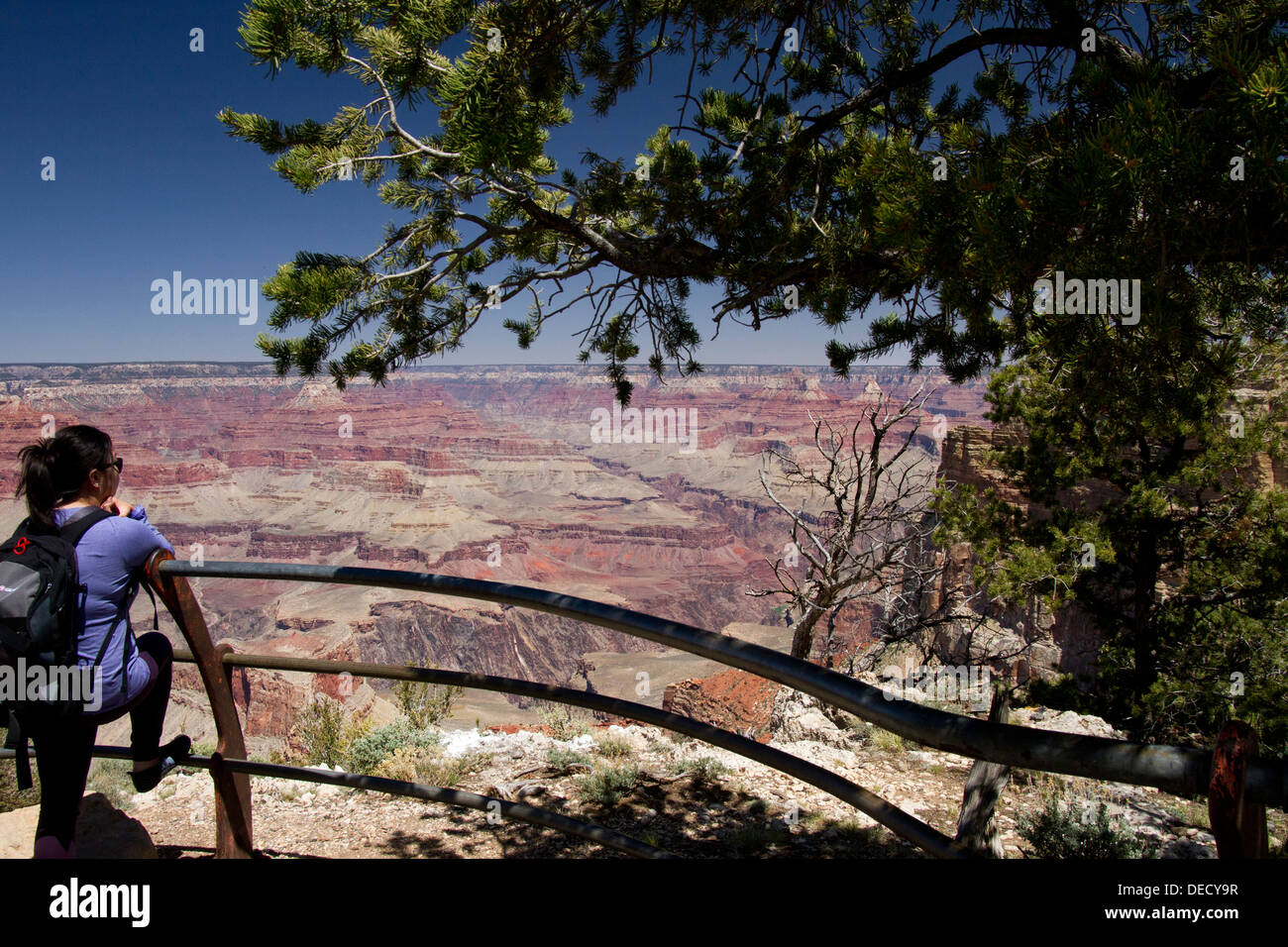 Young woman sightseer at overlook, Grand Canyon, Arizona Stock Photo