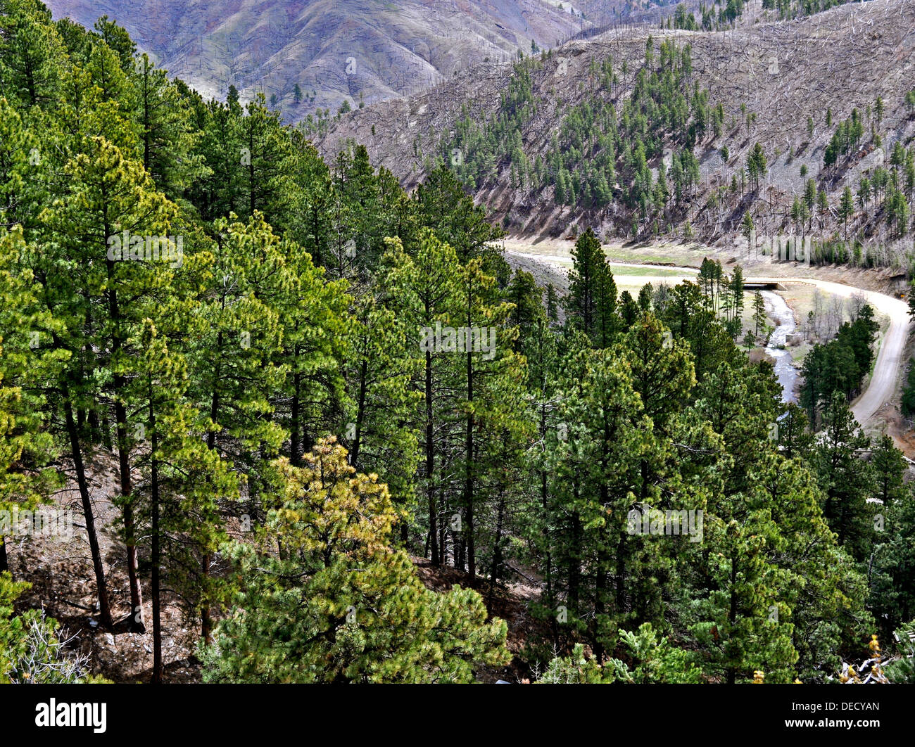 Black Hills South Dakota Stock Photo - Alamy