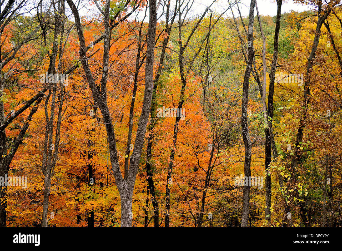 Brown county state park stock photo alamy