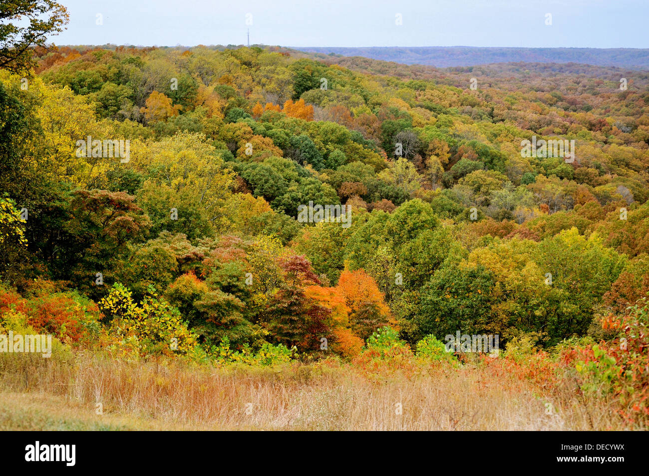 Brown County State Park Stock Photo Alamy