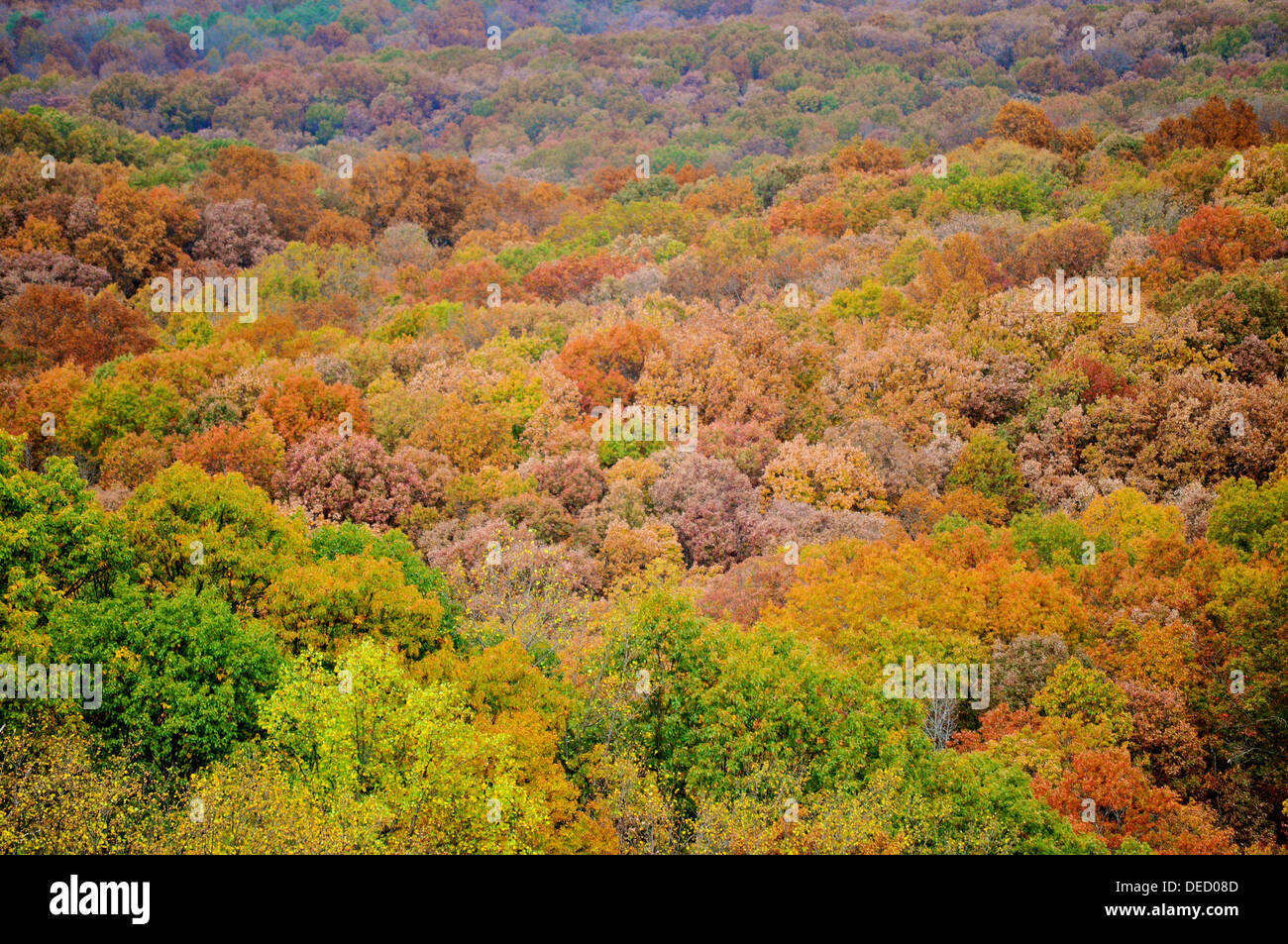 Brown County State Park Stock Photo - Alamy