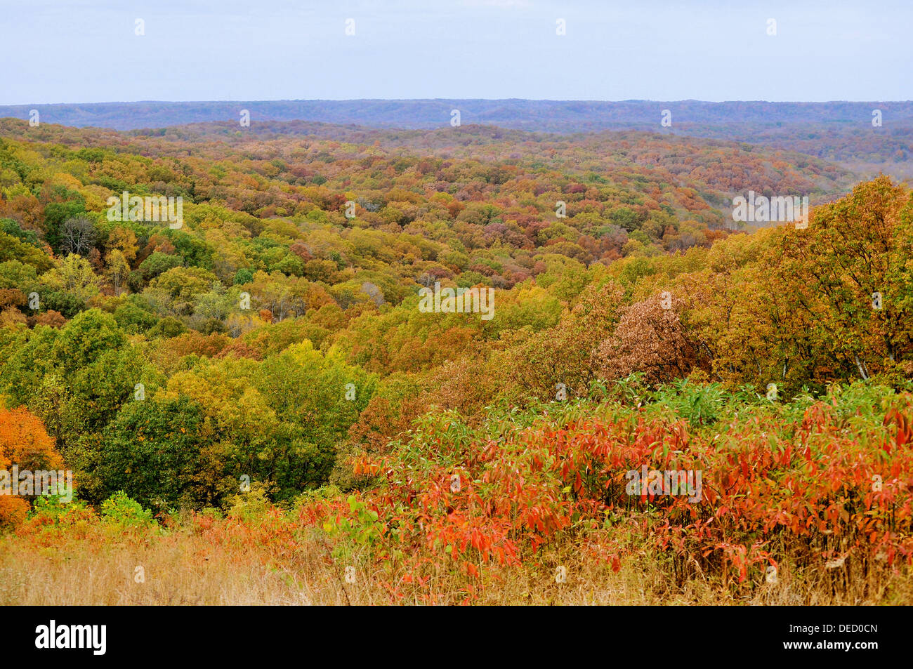 Brown County State Park Stock Photo - Alamy