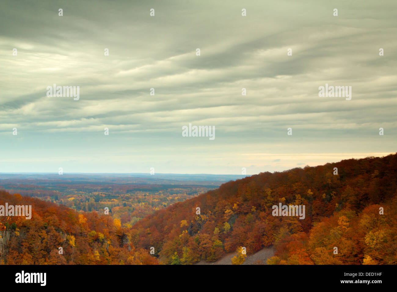 Autumn colours in a Swedish national park, Söderåsen Stock Photo - Alamy