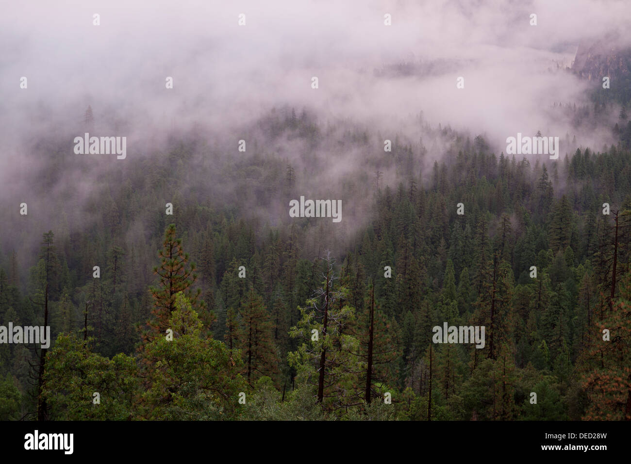 Fog rolling down mountainside Stock Photo