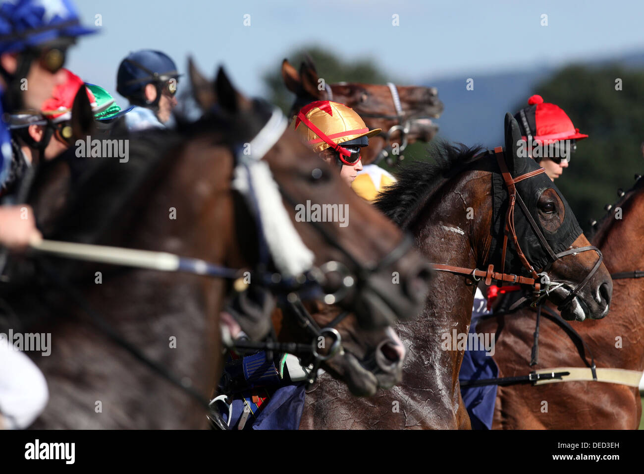 Iffezheim, Germany, horses and jockeys during a horse race Stock Photo