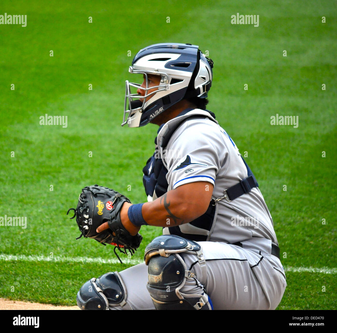 Catching the Ball Stock Photo Alamy