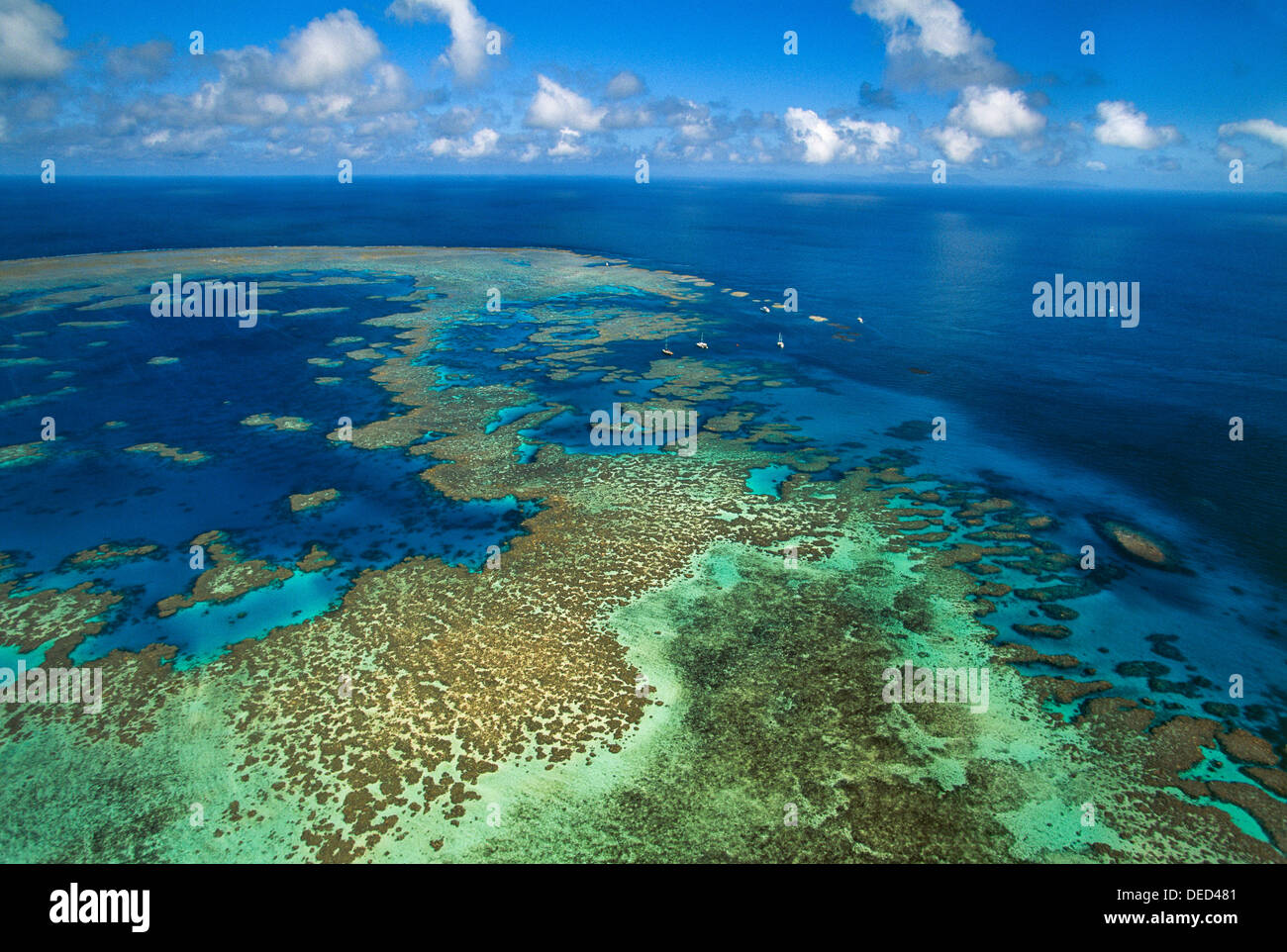Bait Reef Great Barrier Reef Queensland AUSTRALIA Stock Photo ...