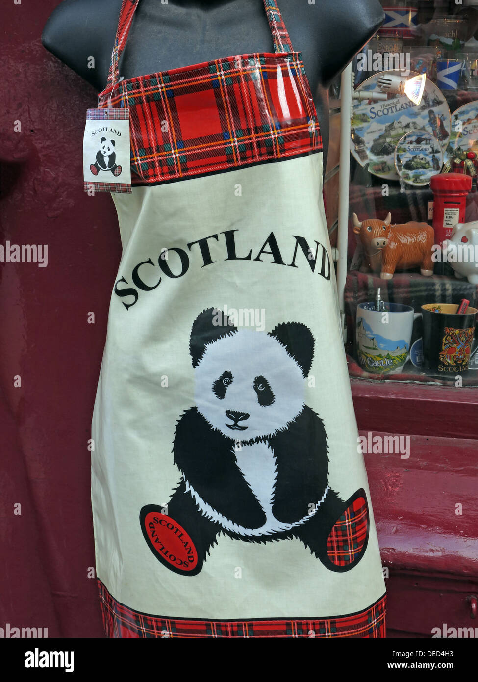 Panda gift Edinburgh Scotland PVC Kitchen Apron Souvenir Stock Photo