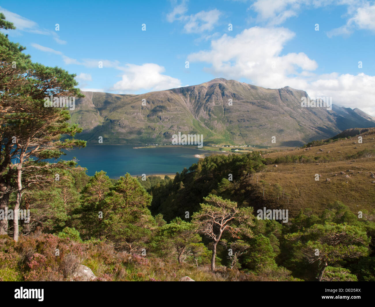 Loch Torridon, Liathach, and Beinn Eighe from the lower slopes of Beinn Damh. Scottish hills, Munros Stock Photo