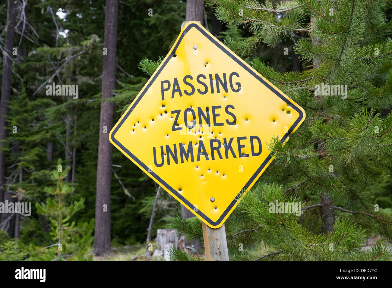A highway sign filled with bullet holes along a US Forest road in the Oregon Cascade Mountains Stock Photo