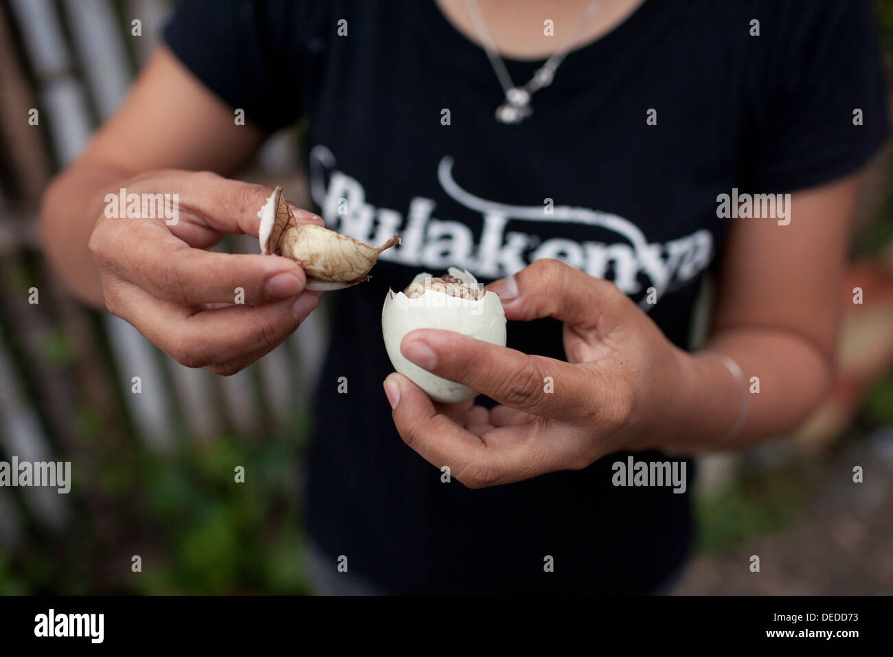 A Filipina opens a balut, or fertilized duck egg, before eating the unique Pinoy snack in Oriental Mindoro, Philippines. Stock Photo