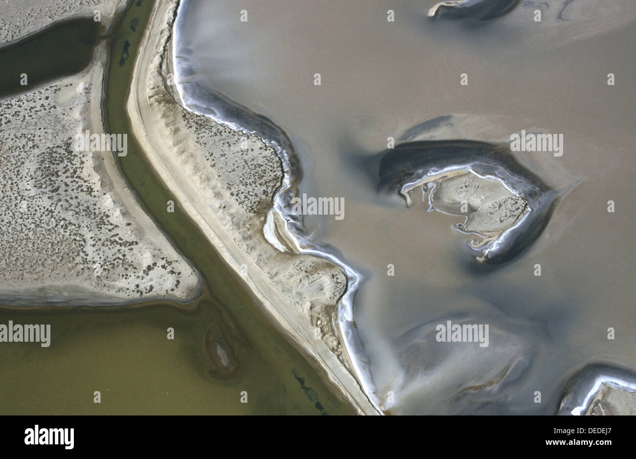 El Vizcaino Biosphere Reserve High Resolution Stock Photography and ...