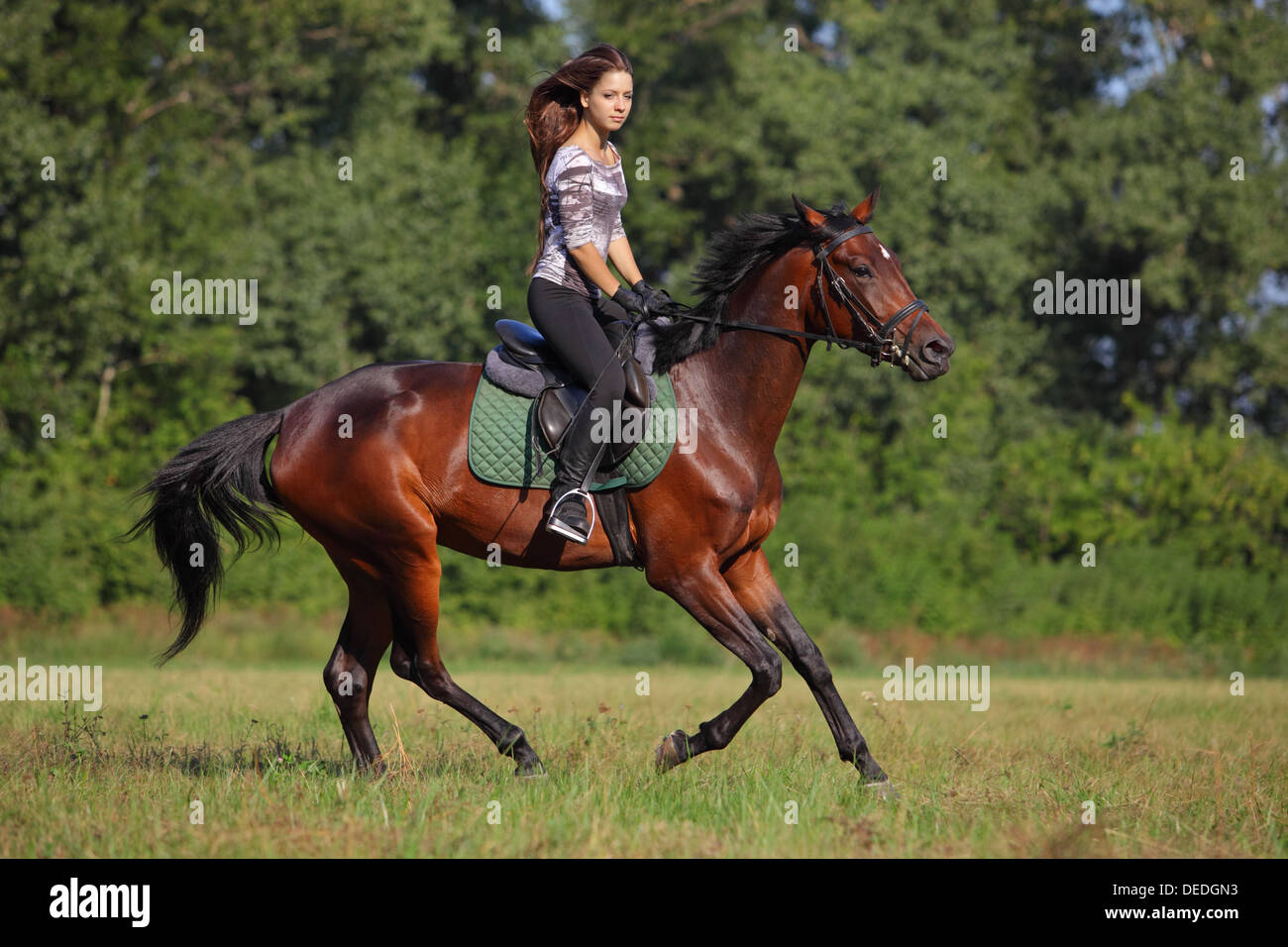 Beautiful young brunette woman with long hair riding on a brown horse at sunset Stock Photo