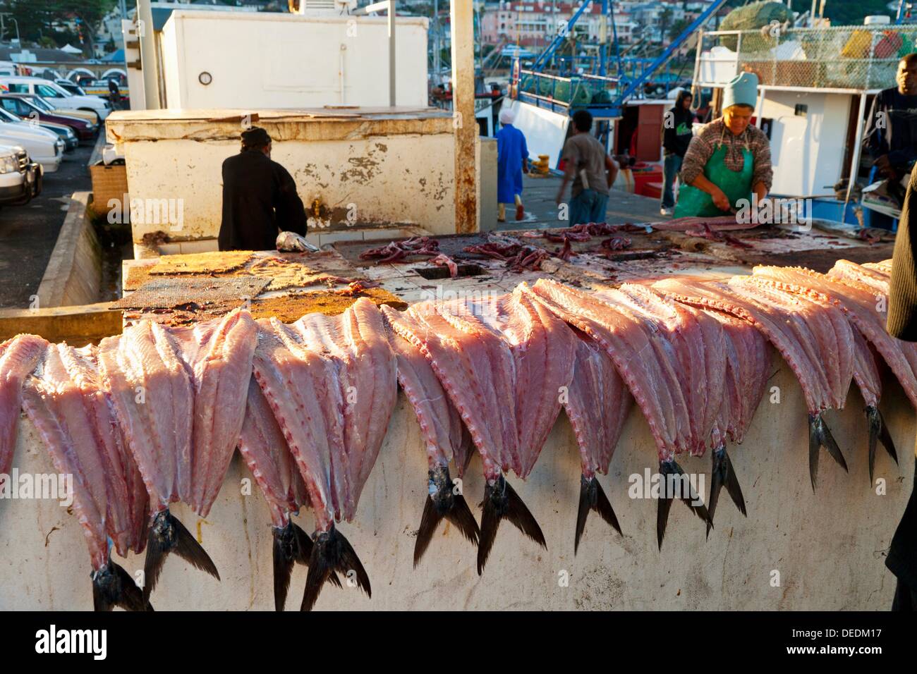 Kalk Bay, False Bay, Sudáfrica, Africa Stock Photo Alamy