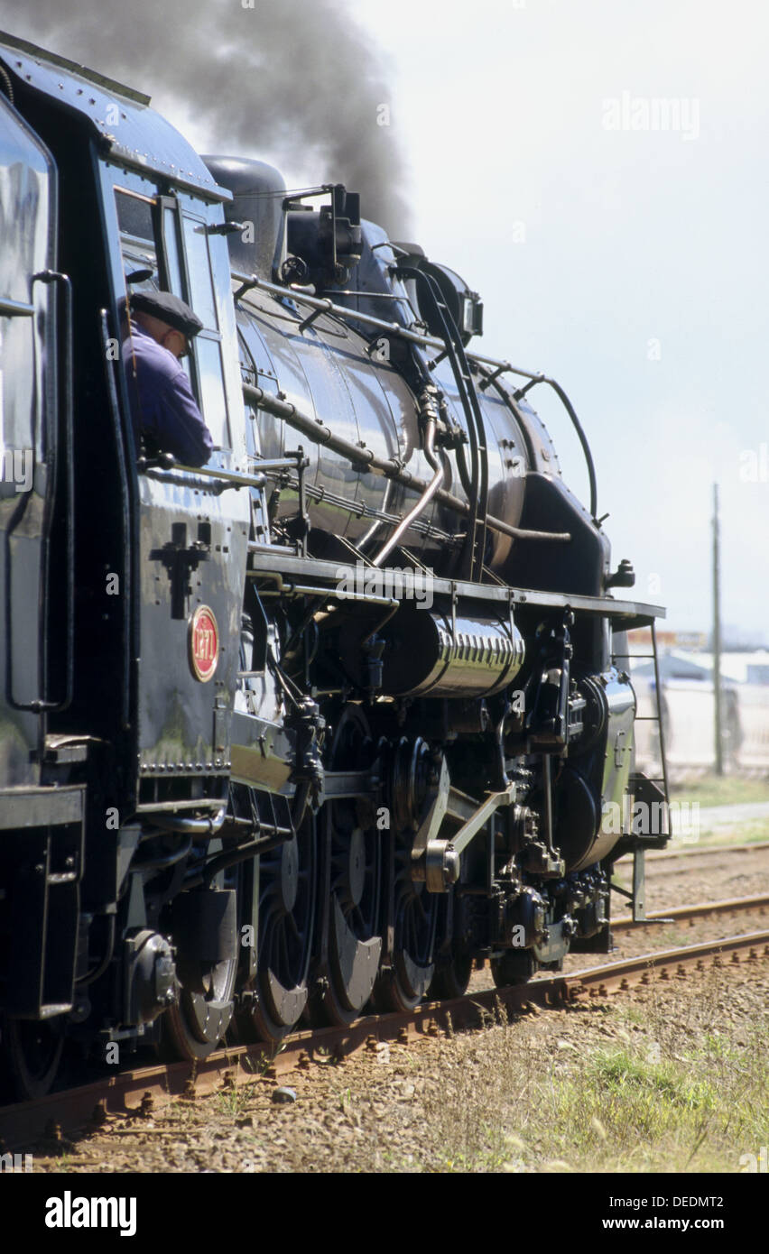 Steam loco 1271 on excursion. New Zealand Stock Photo