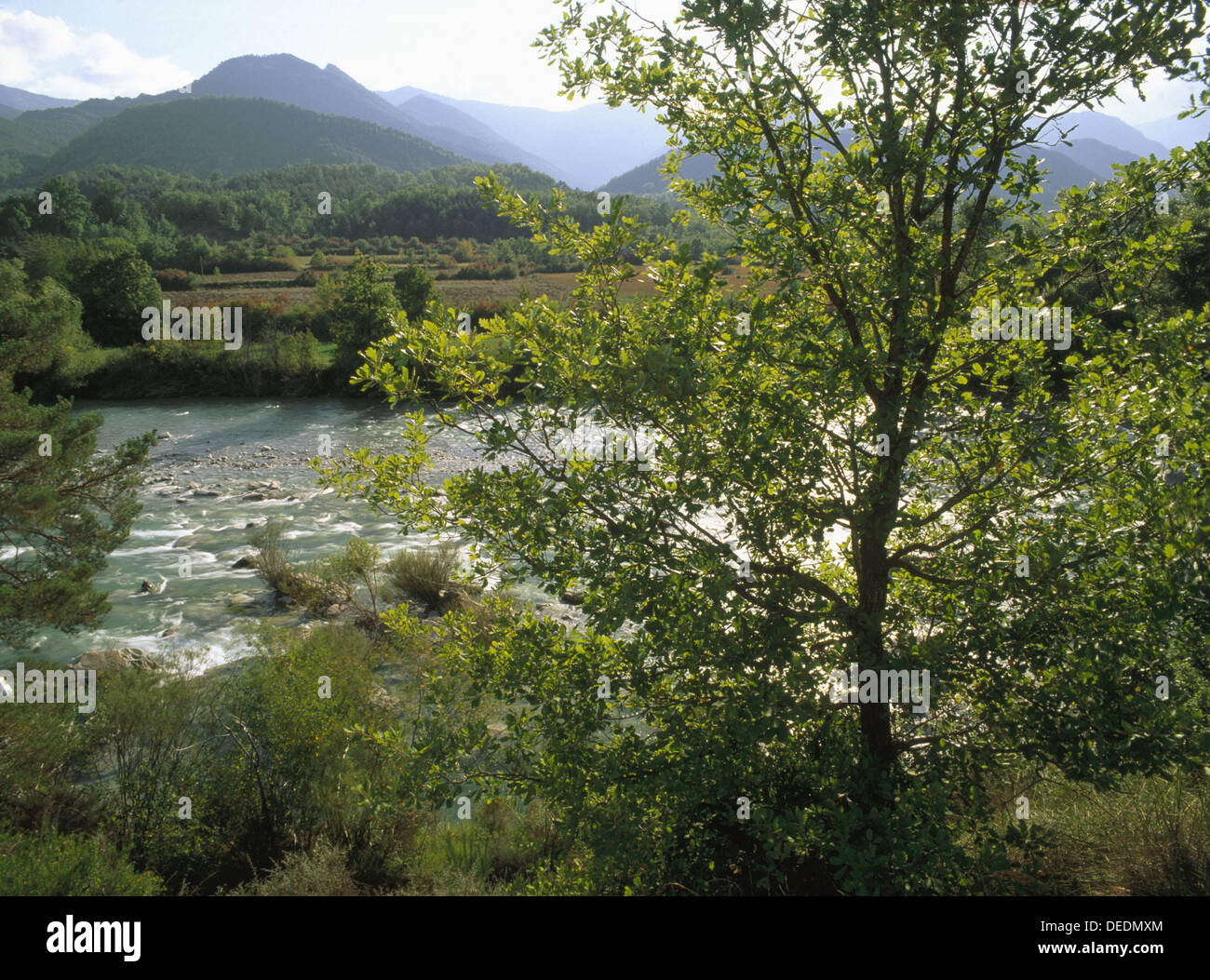 Ara River in Solana Valley. Huesca province. Aragon, Spain Stock Photo -  Alamy