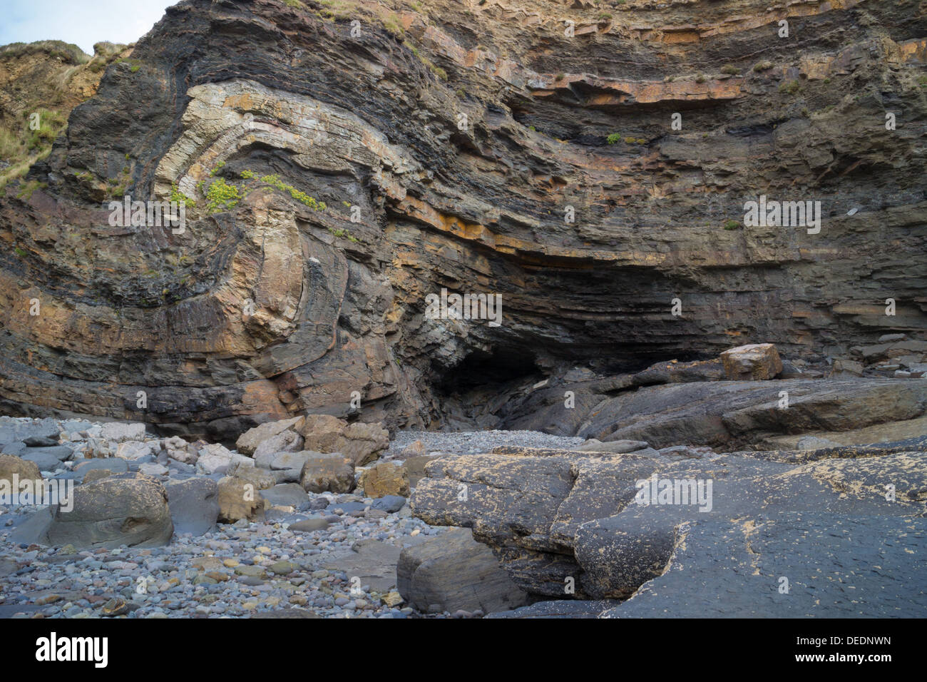 Variscan fault propagation fold at Broadhaven, Pembrokeshire Stock Photo