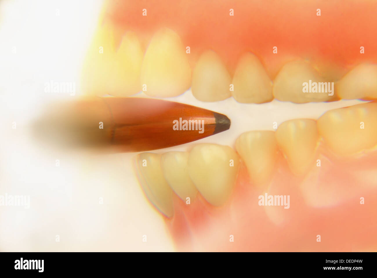 Bullet teeth hires stock photography and images Alamy