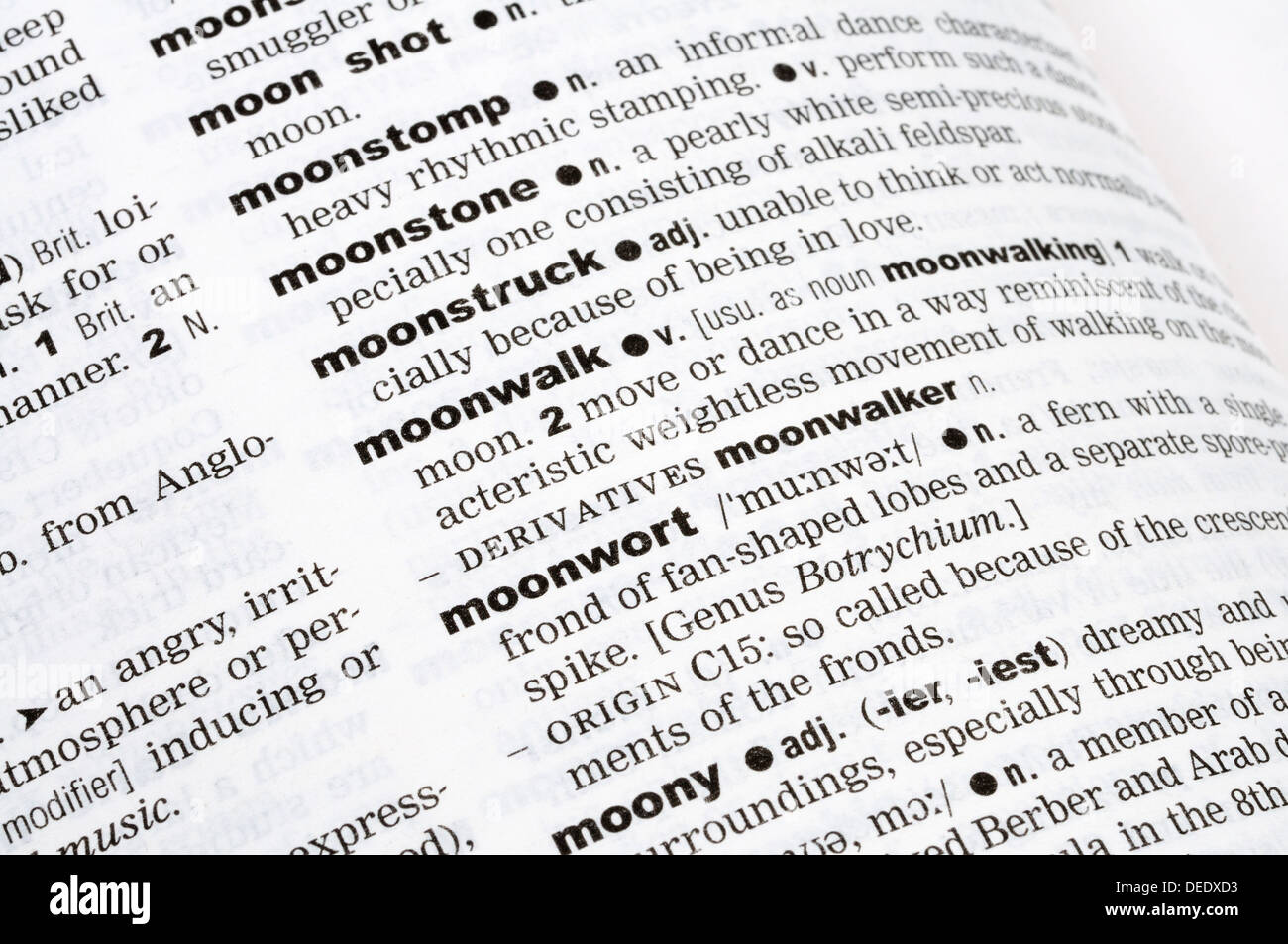 Part of a page from a dictionary Stock Photo Alamy