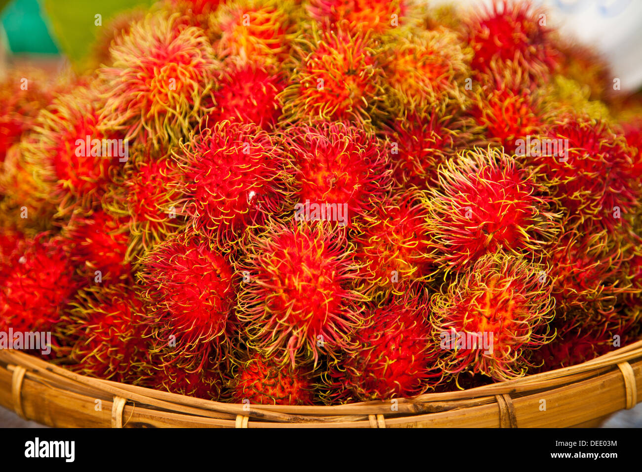 Rambutan tree hi-res stock photography and images - Alamy