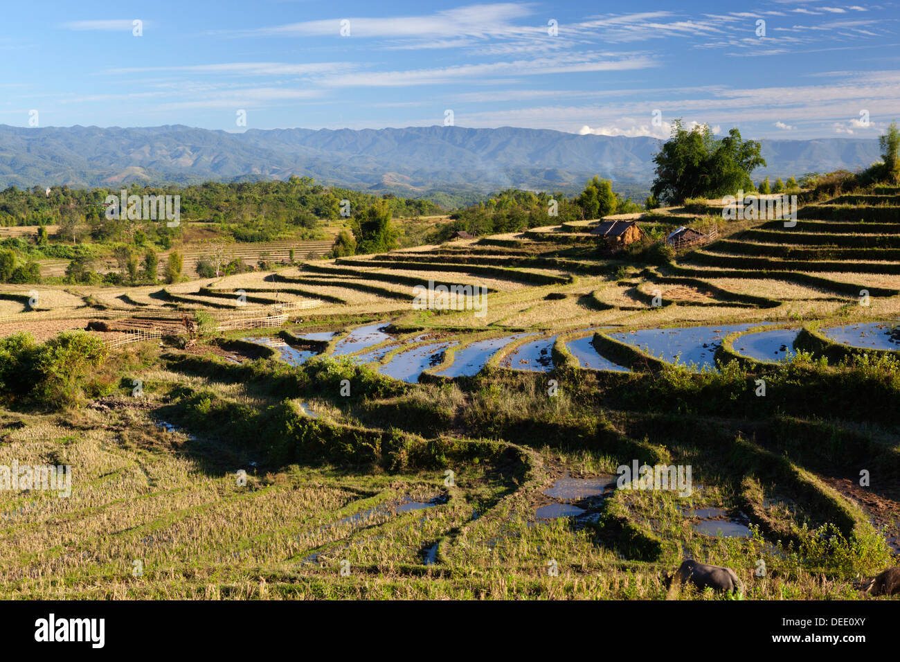 Terraced rice fields and Shan hills, near Kengtung, Shan State, Myanmar (Burma), Asia Stock Photo